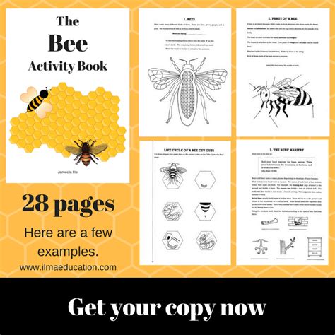 Printable Bee Activities